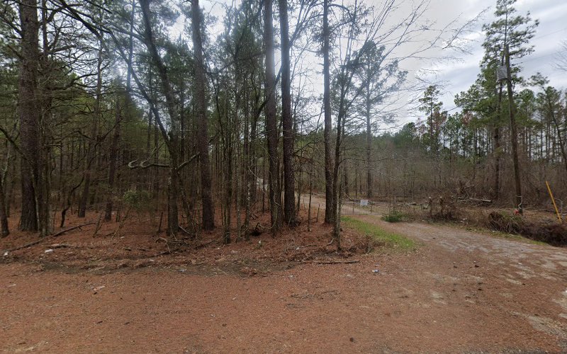 escuelas de manejo Mississippi