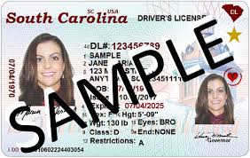 como sacar licencia de conducir en carolina del sur