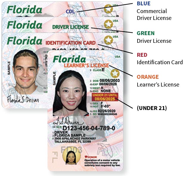 licencia conducir florida