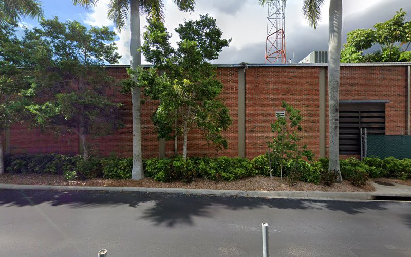 escuelas de manejo Cape Coral