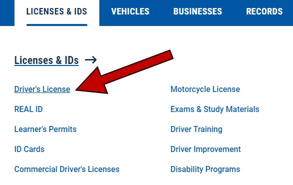 requisitos permiso de manejo Virginia