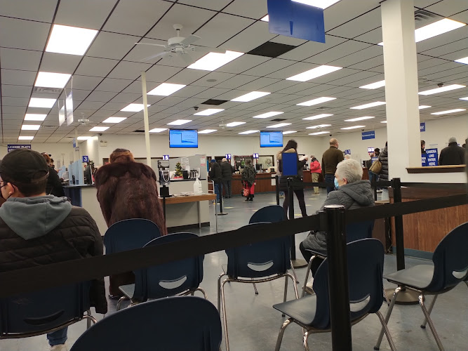 DMV Illinois